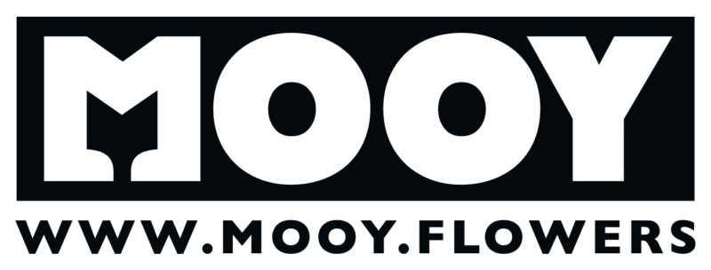 MOOY Flowers logo